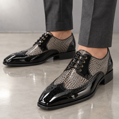 Darnello Signature Oxfords