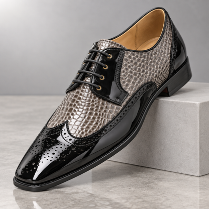 Darnello Signature Oxfords